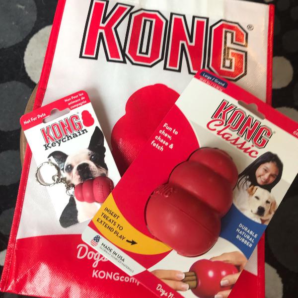 kit kong dog