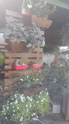 Jardinheira de madeira