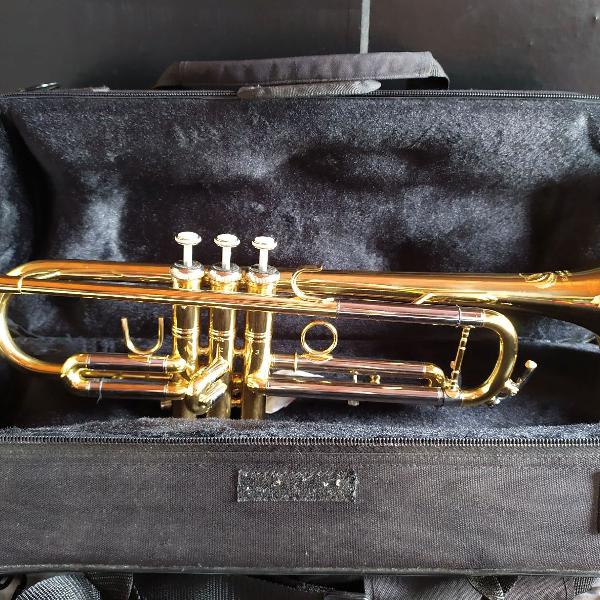 Trompete TR504