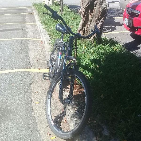 bicicleta low beach