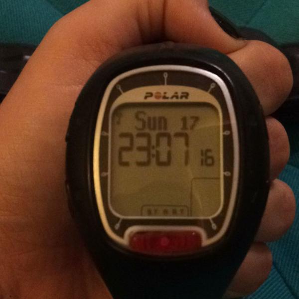 polar rs100