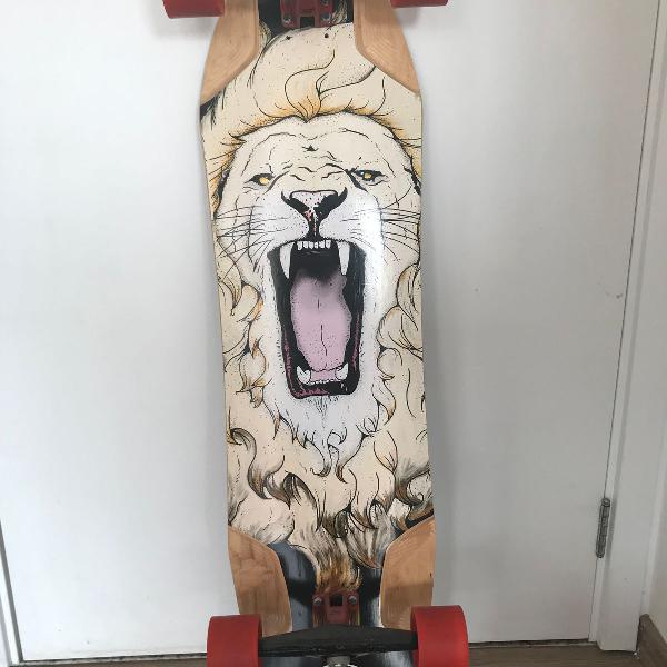 skate longboard