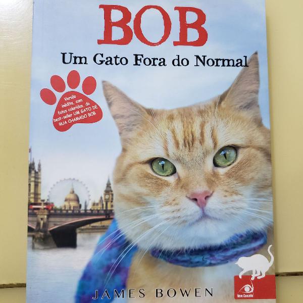 Bob, um gato fora do normal