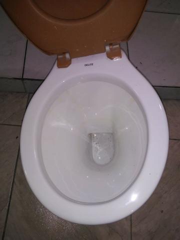 P107) Bacia / Vaso sanitário Branco comum da Marca Celite