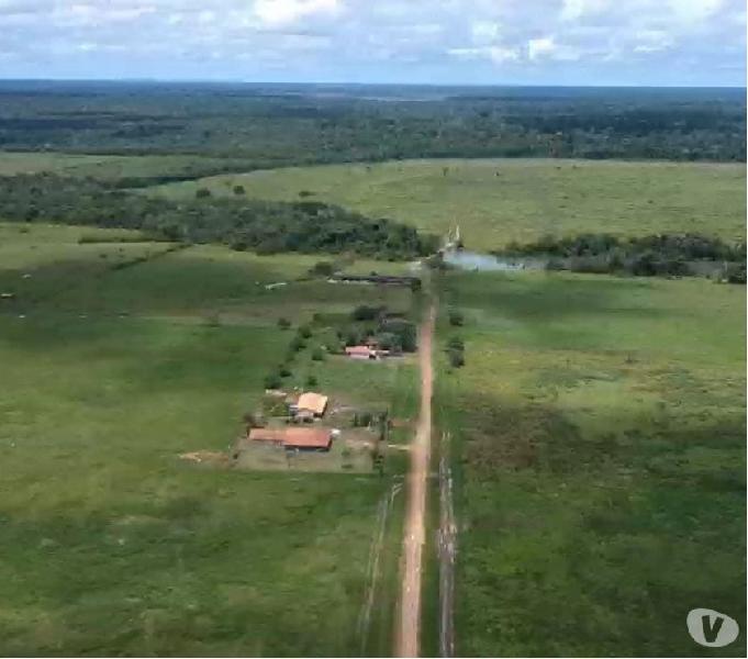 Vendo Fazenda de 2.200 Alqueires no Pará