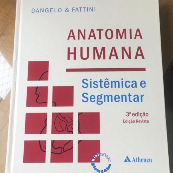 anatomia humana