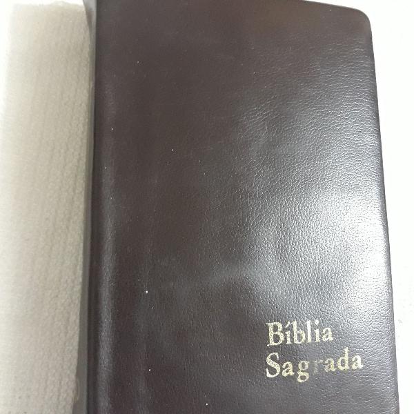 biblia tradução vulgata matos soares 1985 no estado