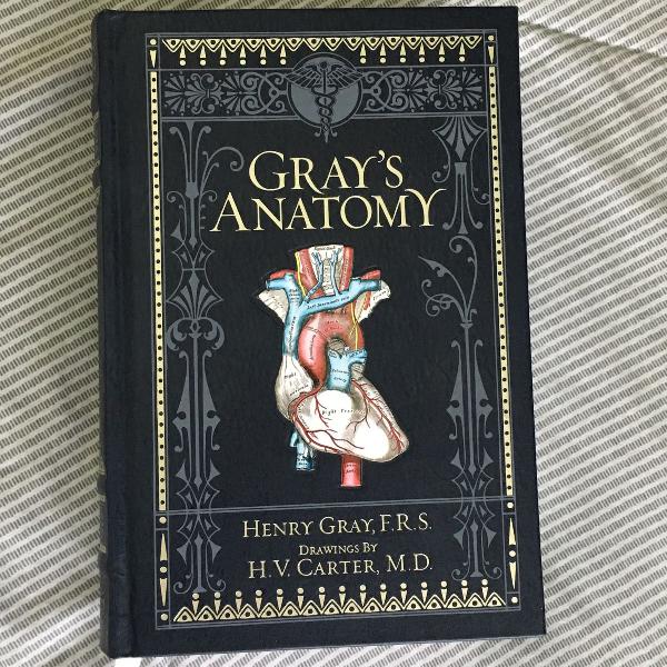 livro: grays anatomy