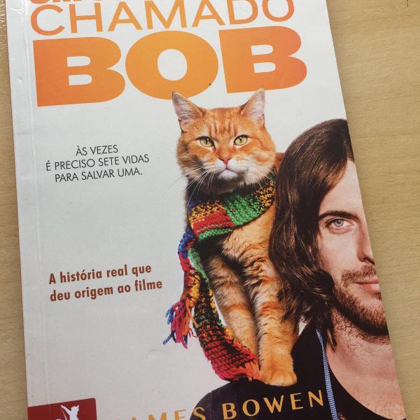 livro um gato de rua chamado bob