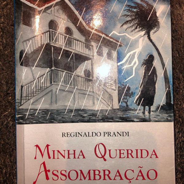 livro:minha querida assombração