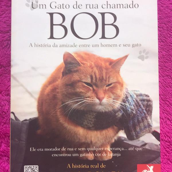 um gato de rua chamado bob