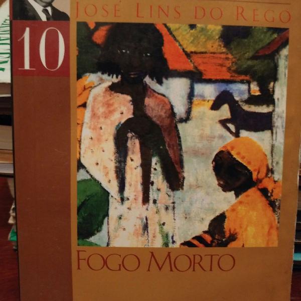 Livro: fogo morto