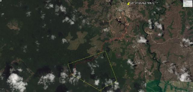 Terreno rural 1106ha tartarugalzinho ap