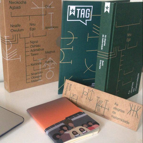 livro as alegrias da maternidade