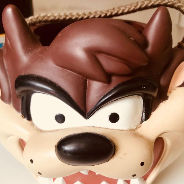 para que é fã: taz