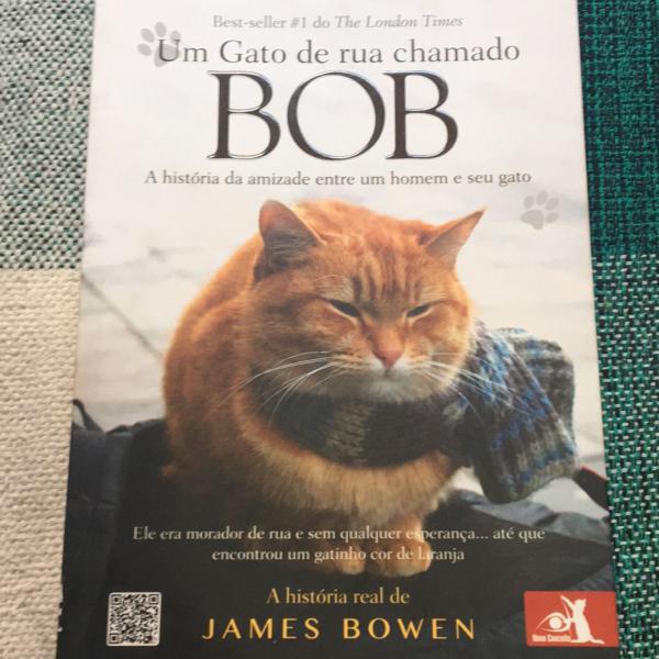 um gato de rua chamado bob