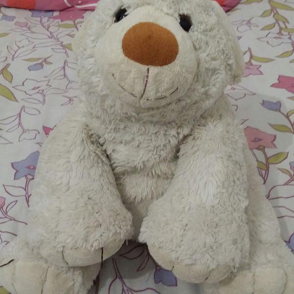 urso grande antialergico