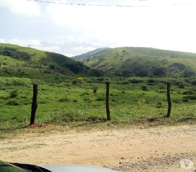 FAZENDA COM 1,154 HECTARES-COM 904 HA EM PASTOS