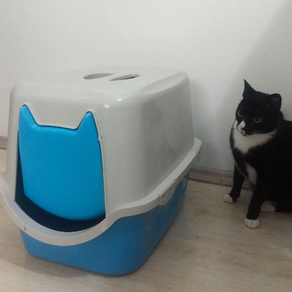 Banheiro sanitário pra gato