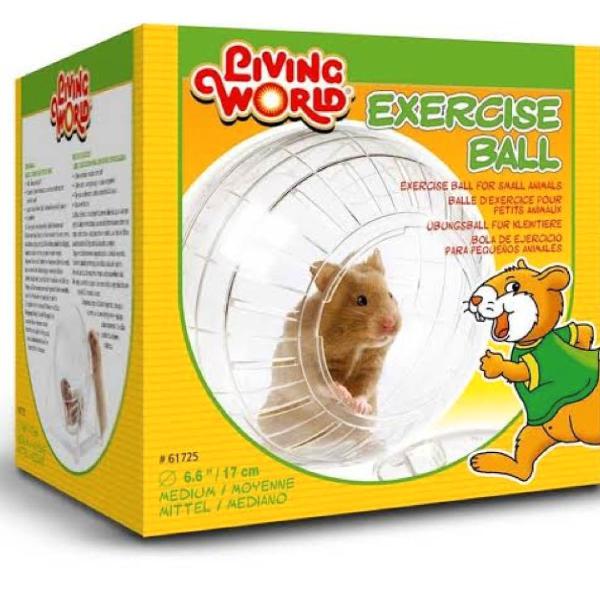 bola de exercício para hamster