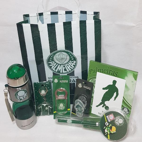 kit oficial palmeiras