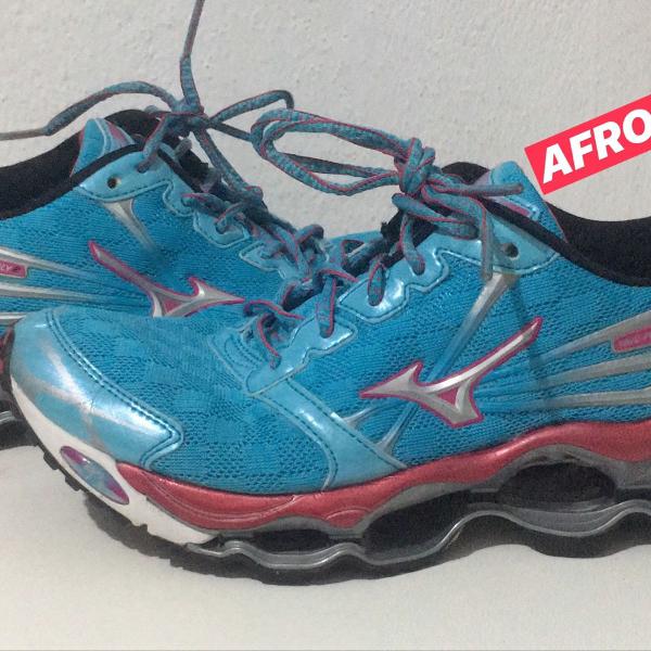 mizuno wave prophecy 2