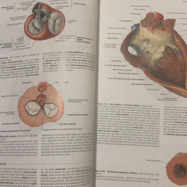 atlas de anatomia humana sobotta