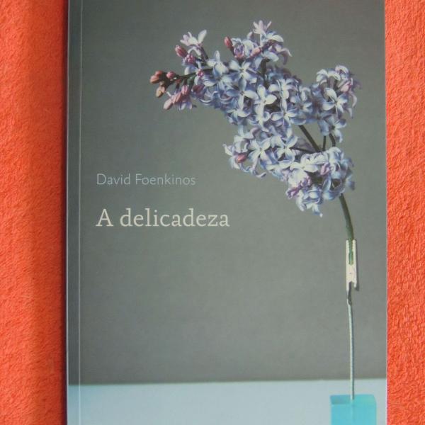 livro a delicadeza - david foenkinos