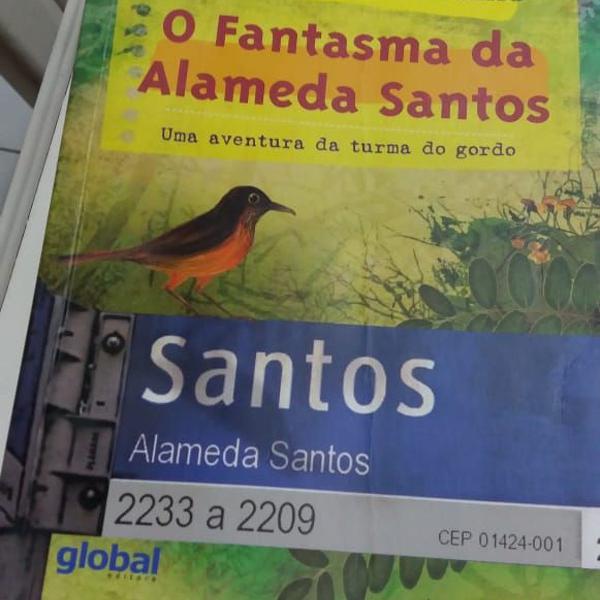 livro o fantasma da alameda santos