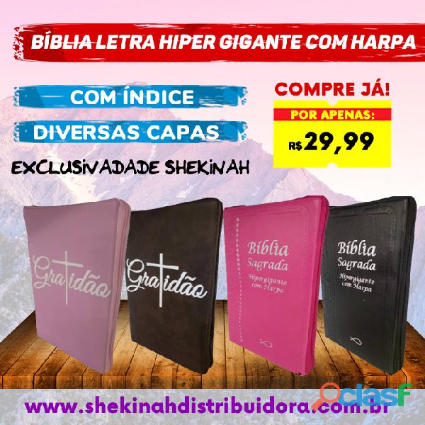 Bíblia Letra Hiper Gigante com Harpa Diversas Capas