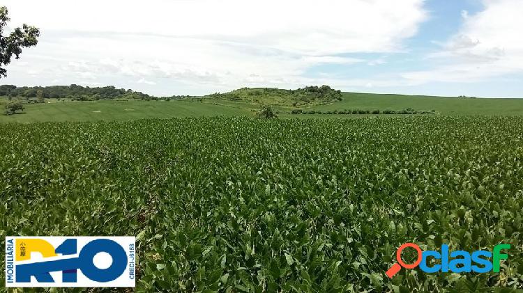 Chácara a Venda no Distrito da Maravilha Londrina Paraná