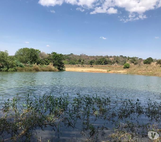 Chácara com Lago Exclusivo e Córrego - Bem Localizada