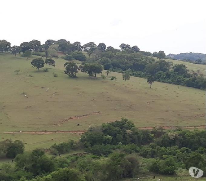 Grande oportunidade região Botelhos- MG