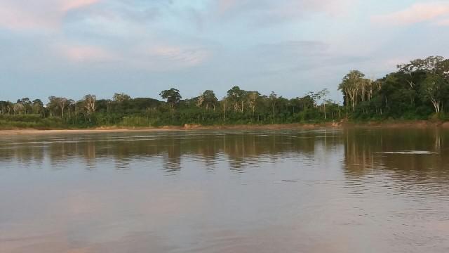 rea de 1000 hec rio tarauacá