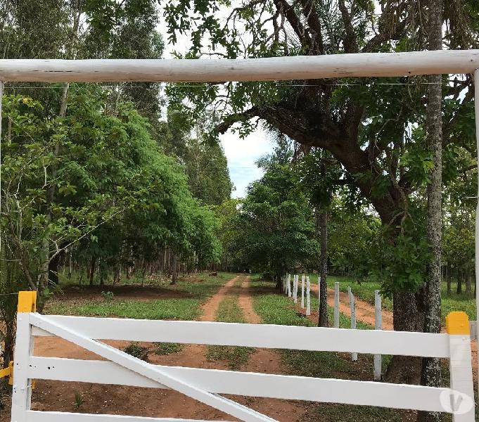 Chácara Rica em Água com Benfeitorias - 15 km de Goiânia