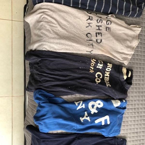 kit 5 camisetas originais grifadas - ralph kauren etc