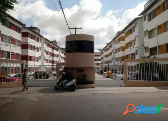 Apartamento - Venda - Salvador - BA - Jardim das Margaridas