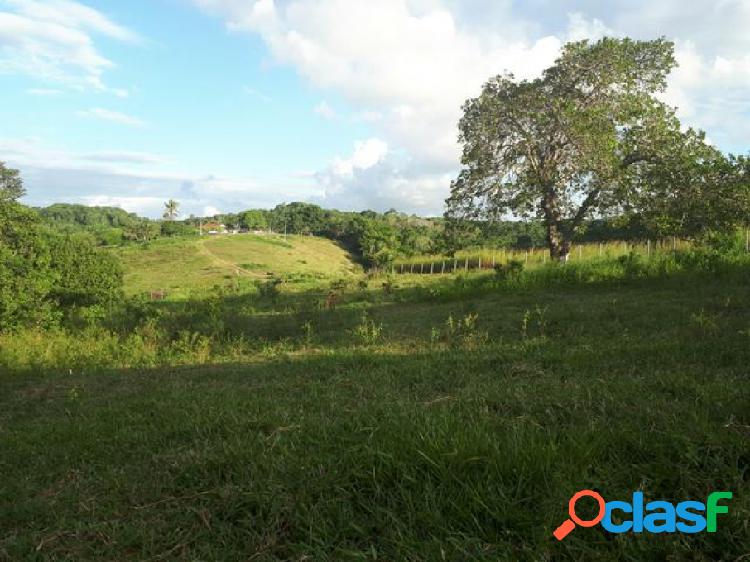 Chácara - Venda - Igarassu - PE - Zona Rural