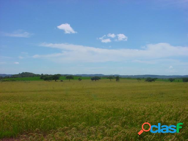 Fazenda - Venda - Araguaina - TO - rural