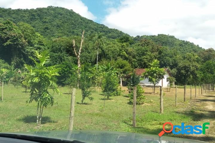 Sítio - Venda - Ubatuba - SP - Centro