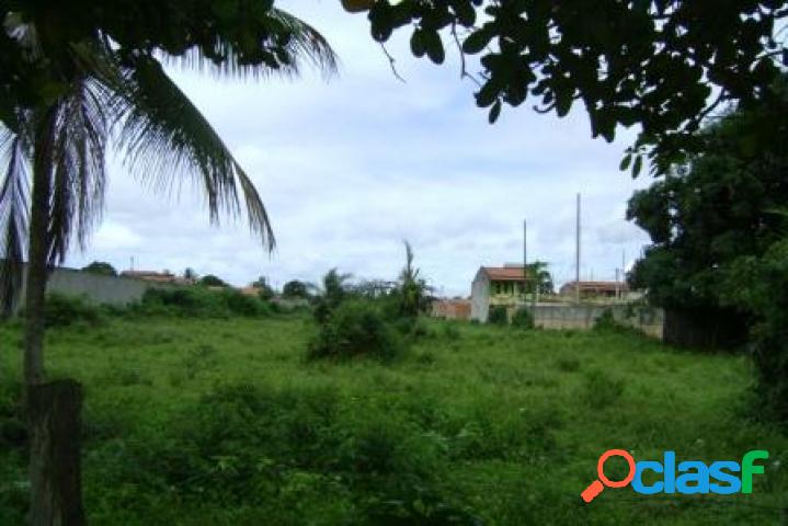 Terreno - Venda - Feira de Santana - BA - Tomba