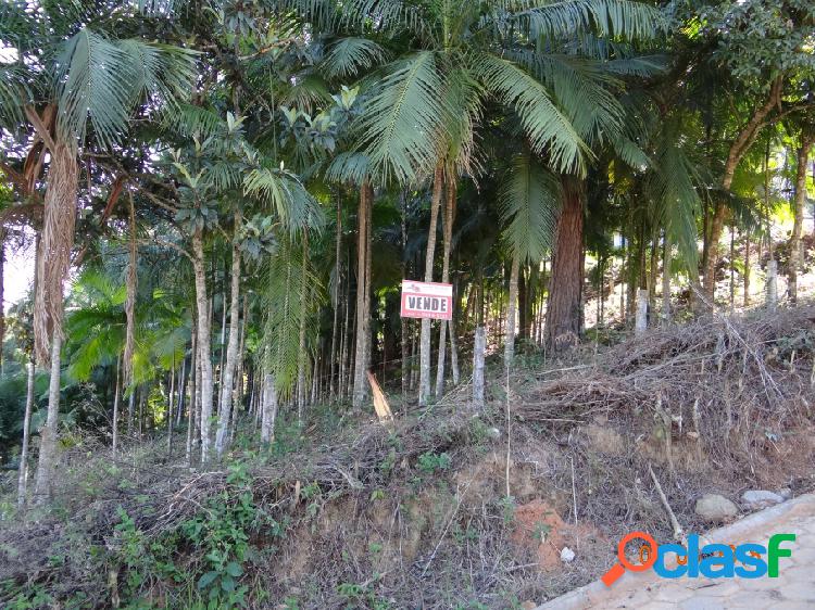 Terreno - Venda - IBIRAMA - SC - BELA VISTA