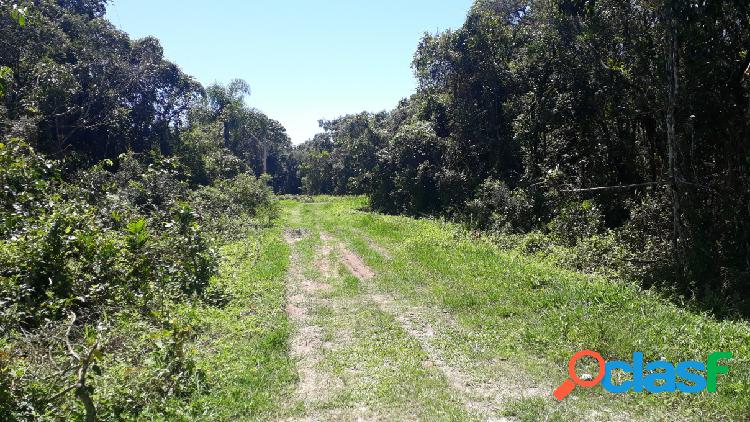 Terreno - Venda - ItapoÃ¡ - SC - balneário cambiju