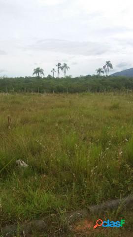 Terreno - Venda - garopaba - SC - Campo Duna