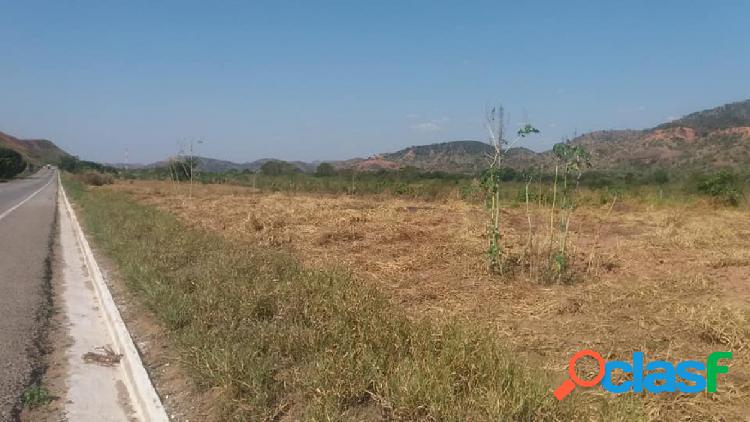 Terreno - Venda - naque - MG - naquinho zona rural