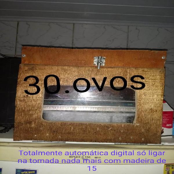 Chocadeira 30 ovos totalmente automática digital rj