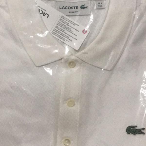 lacoste polo