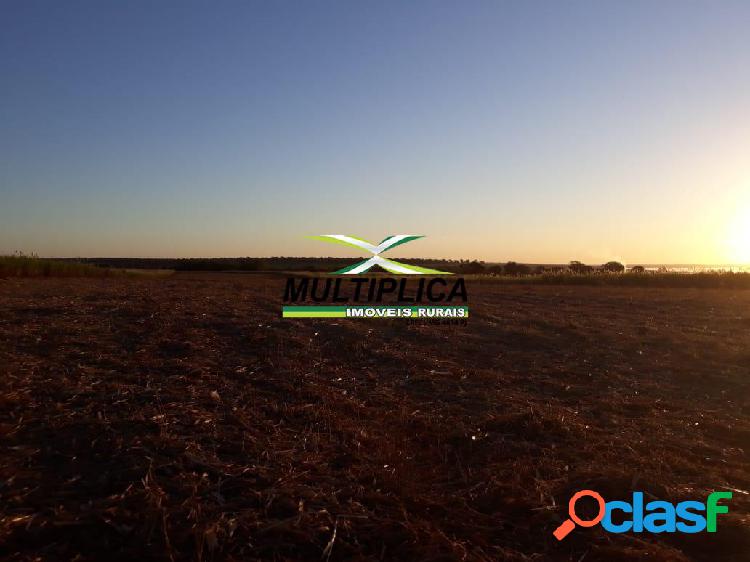 Fazenda a venda em Santa Vitória MG 174,24 hectares Cana