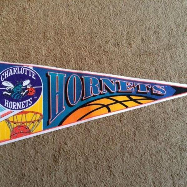 Flâmula Charlotte Hornets