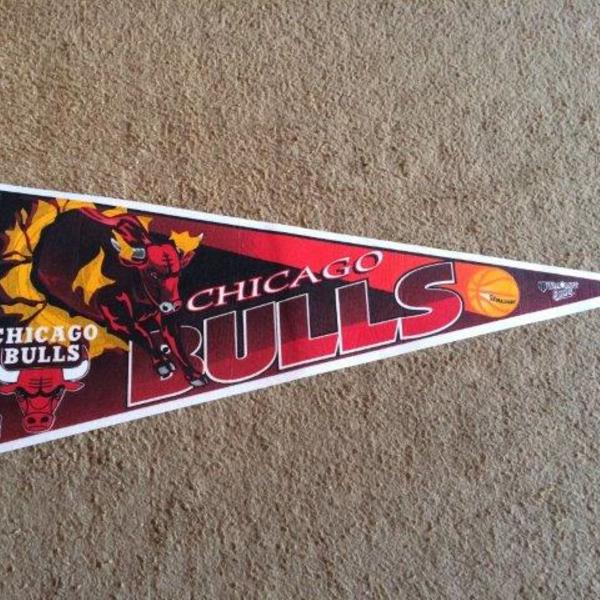 Flâmula Chicago Bulls